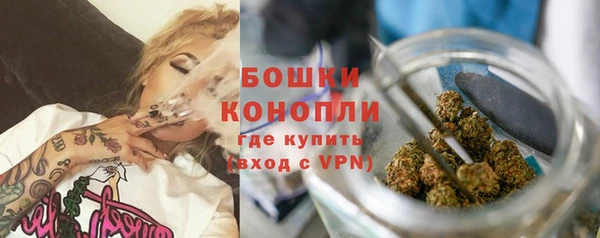 mdpv Бородино